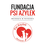 Tofik Fundacja Psi Azylek - Zwierzęta w Potrzebie
