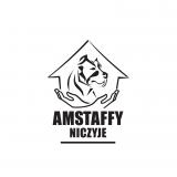 Ares Stowarzyszenie Amstaffy Niczyje
