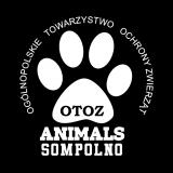 Grey OTOZ ANIMALS Schronisko w Sompolnie