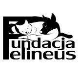 Panda Fundacja dla bezdomnych zwierząt Felineus