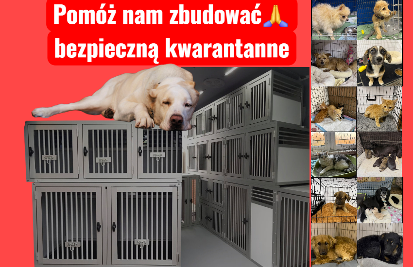 Pomóż nam zbudować bezpieczną kwarantanne