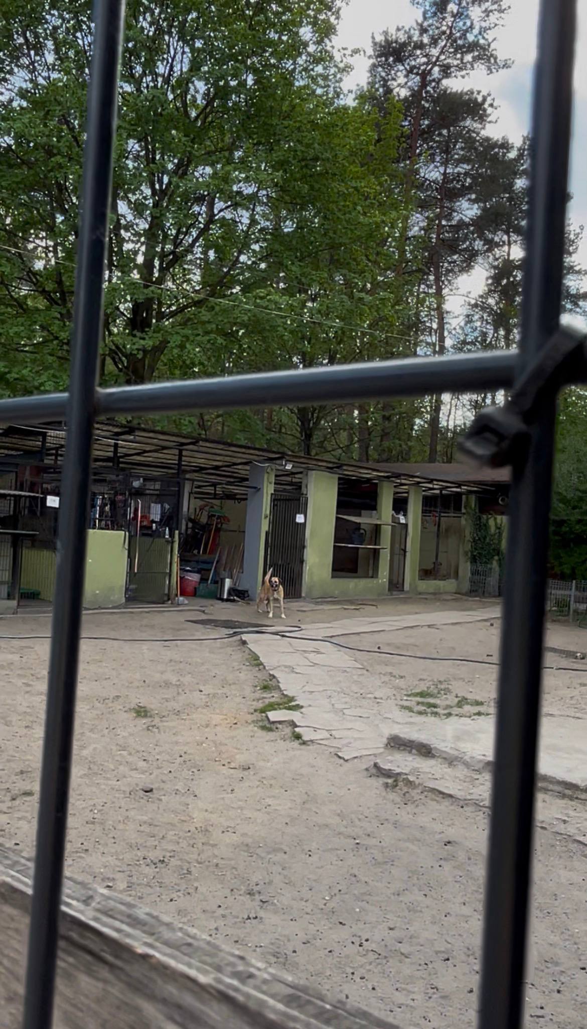 Józefowiaki proszą o pomoc!