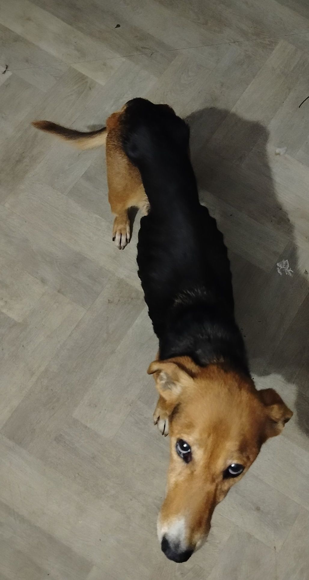 Niewidzialna dla świata, dla nas stała się bohaterką...