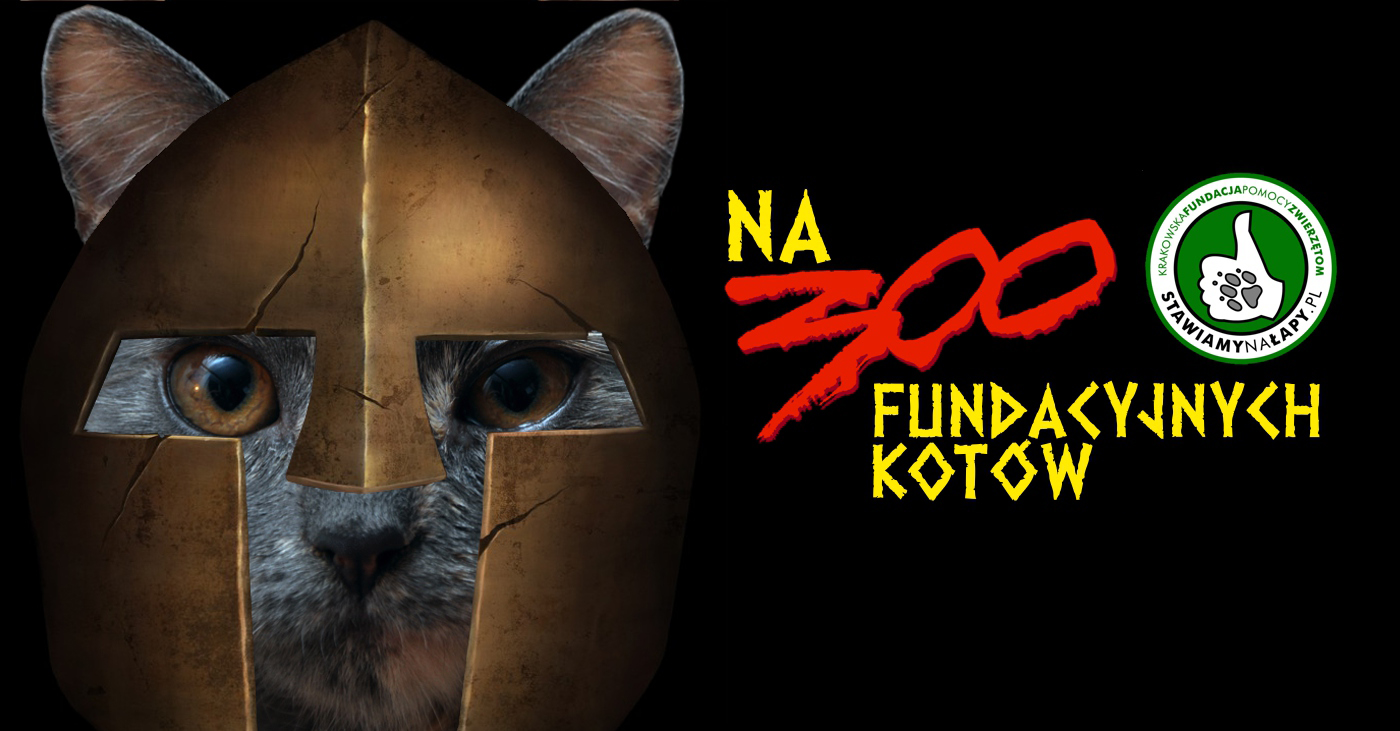 300 kotów pod opieką Fundacji Stawiamy na Łapy