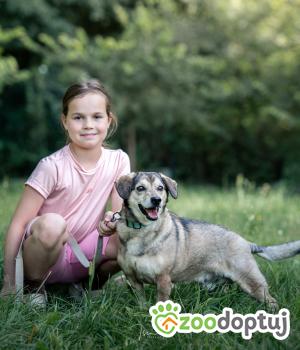Do adopcji Rzeszów