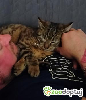 Do adopcji Cieszyn