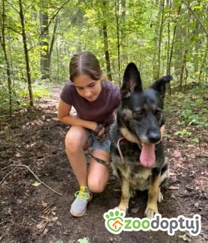 Do adopcji Zgierz