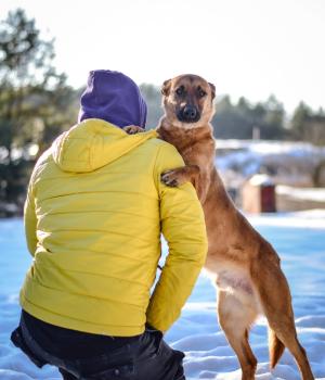 Do adopcji Białobrzegi
