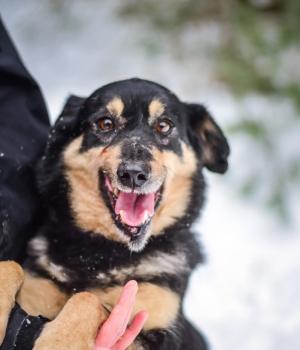 Do adopcji Białobrzegi