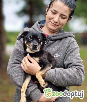 Do adopcji Skaryszew