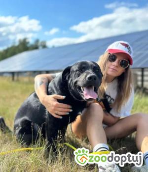 Do adopcji Białobrzegi