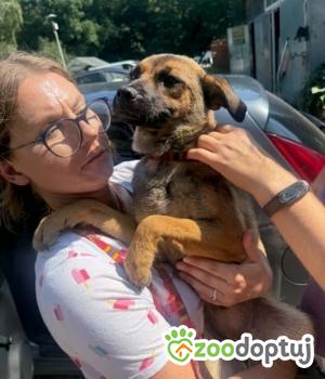 Do adopcji Zgierz