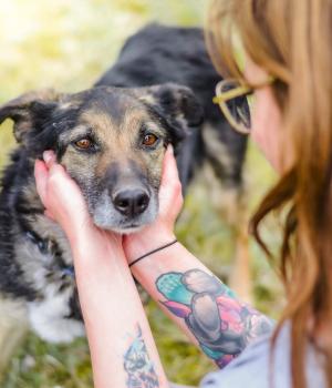 Do adopcji Białobrzegi