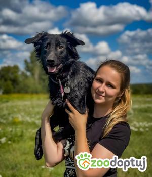 Do adopcji Warszawa