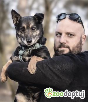 Do adopcji Warszawa