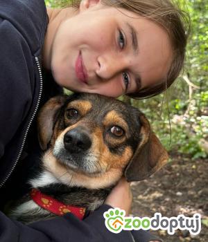 Do adopcji Zgierz