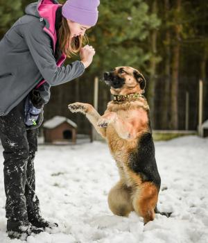 Do adopcji Białobrzegi