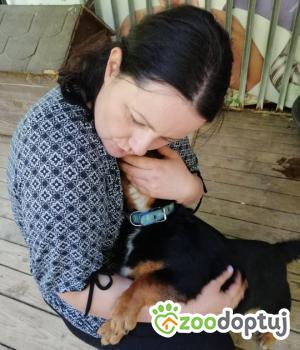 Do adopcji Rzeszów