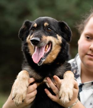 Do adopcji Białobrzegi