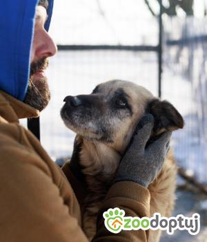 Do adopcji Rawa Mazowiecka