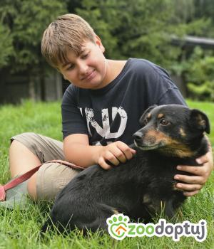 Do adopcji Zgierz
