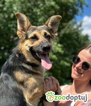 Do adopcji Białobrzegi