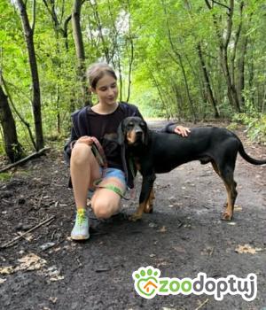 Do adopcji Zgierz
