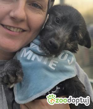 Do adopcji Zgierz