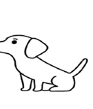 Do adopcji Chełm