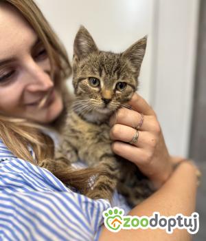 Do adopcji Łódź