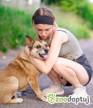 Do adopcji Warszawa