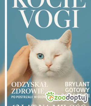 Do adopcji Radziejów