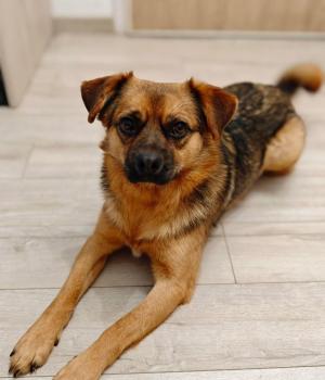 Do adopcji Białobrzegi