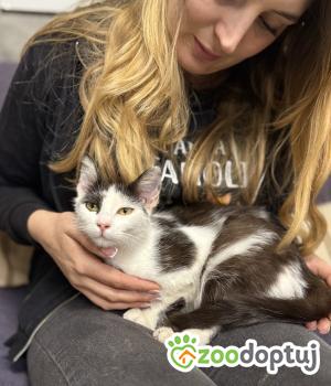 Do adopcji Łódź