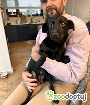 Do adopcji Białobrzegi