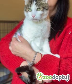 Do adopcji Łódź