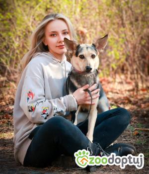 Do adopcji Warszawa
