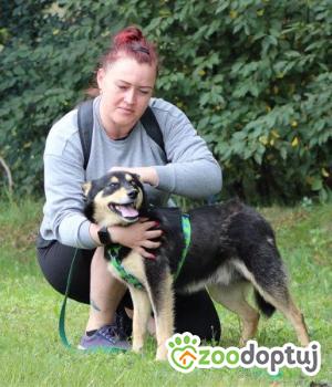 Do adopcji Września