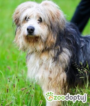 Do adopcji SŁUPSK