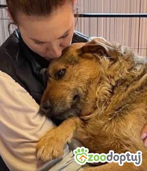 Do adopcji Warszawa