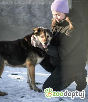 Do adopcji Białobrzegi